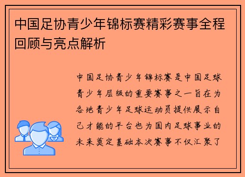 中国足协青少年锦标赛精彩赛事全程回顾与亮点解析